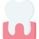 tooth